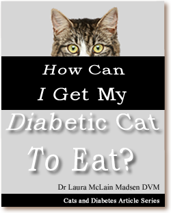 How Can I Get My Diabetic Cat to Eat 
